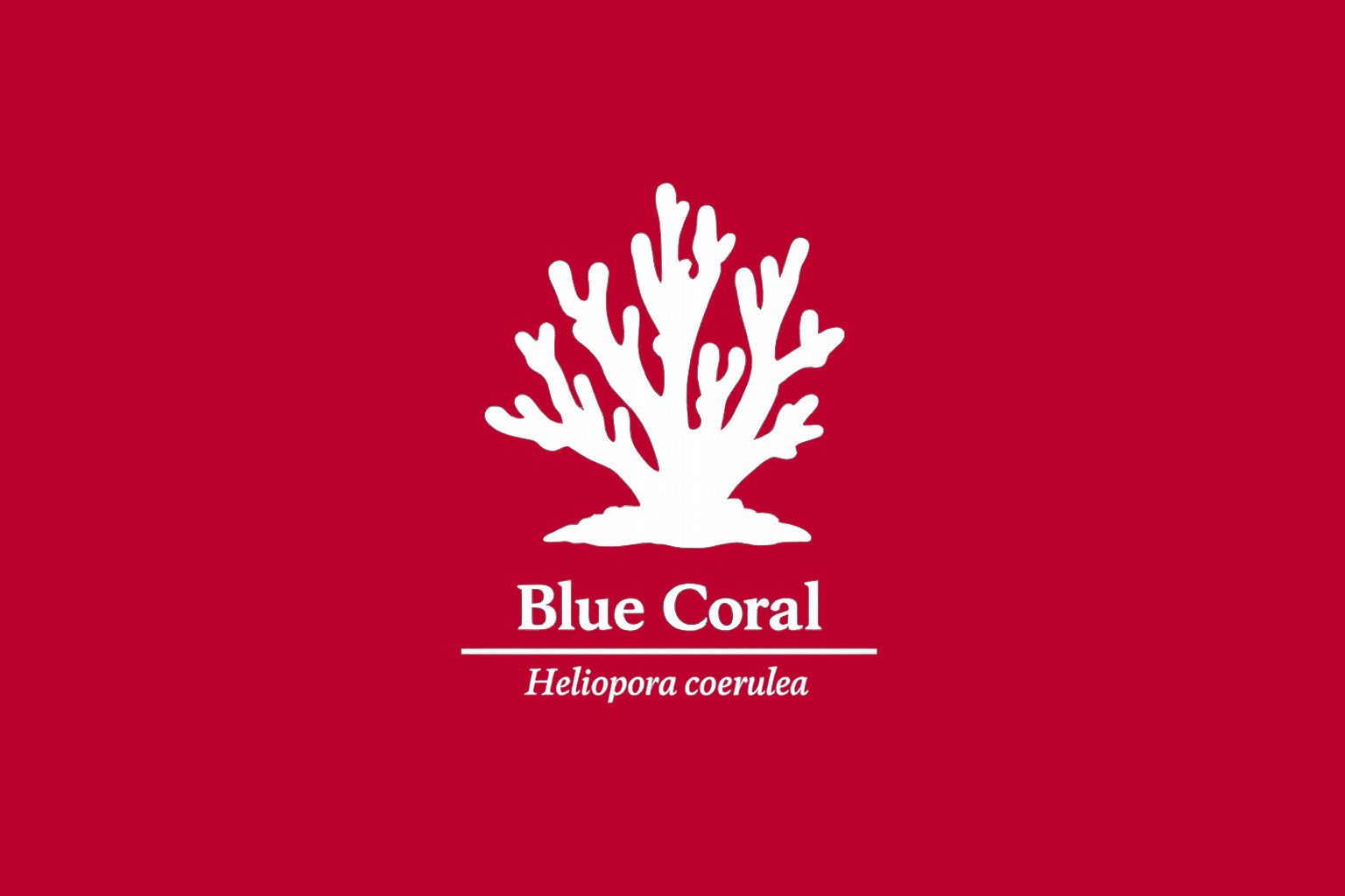 11年後のレッドリスト｜アオサンゴ：低懸念のまま、数は細る【IUCNレッドリスト比較】