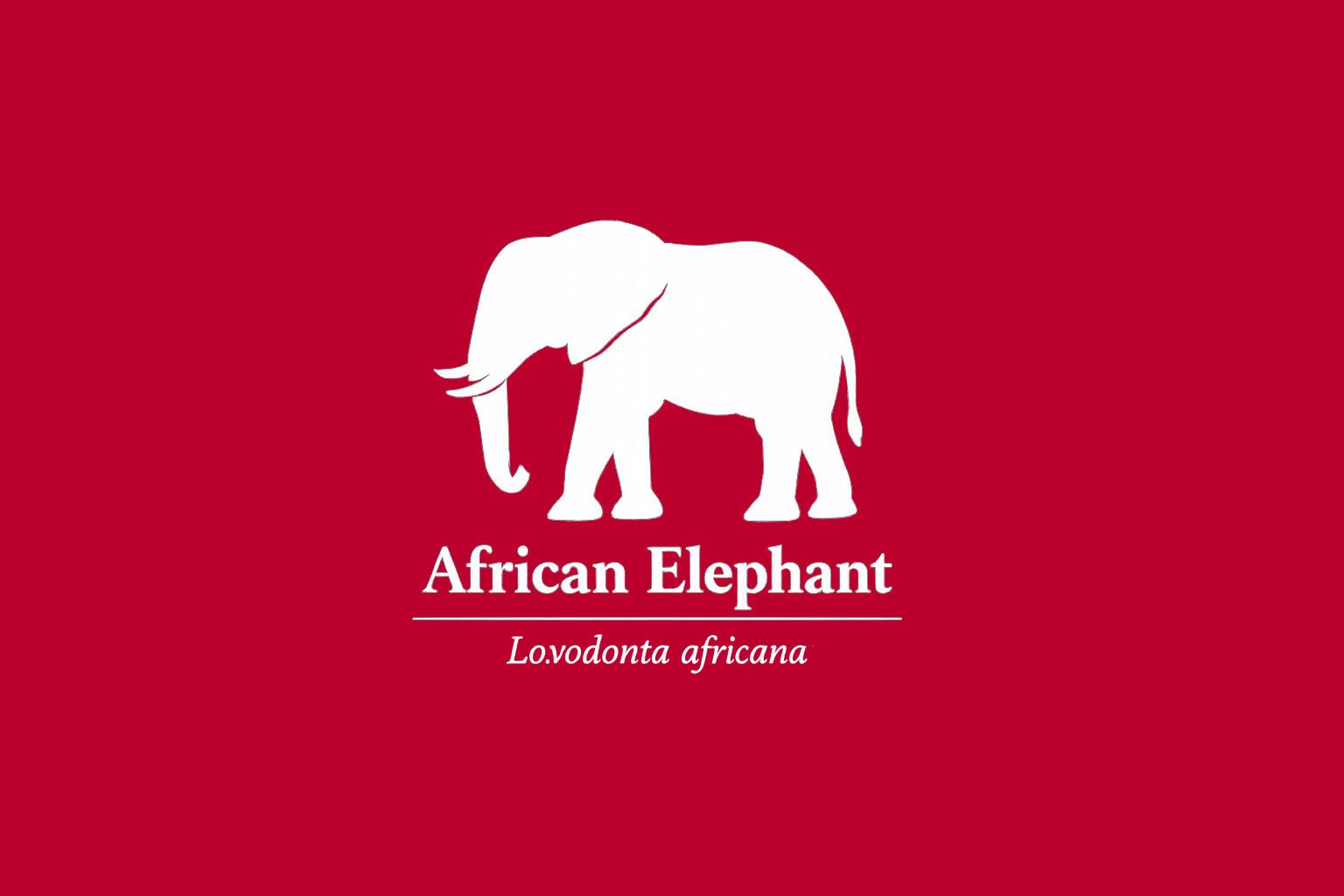 11年後のレッドリスト｜アフリカゾウ：共生の入口で、立ち尽くす【IUCNレッドリスト比較】