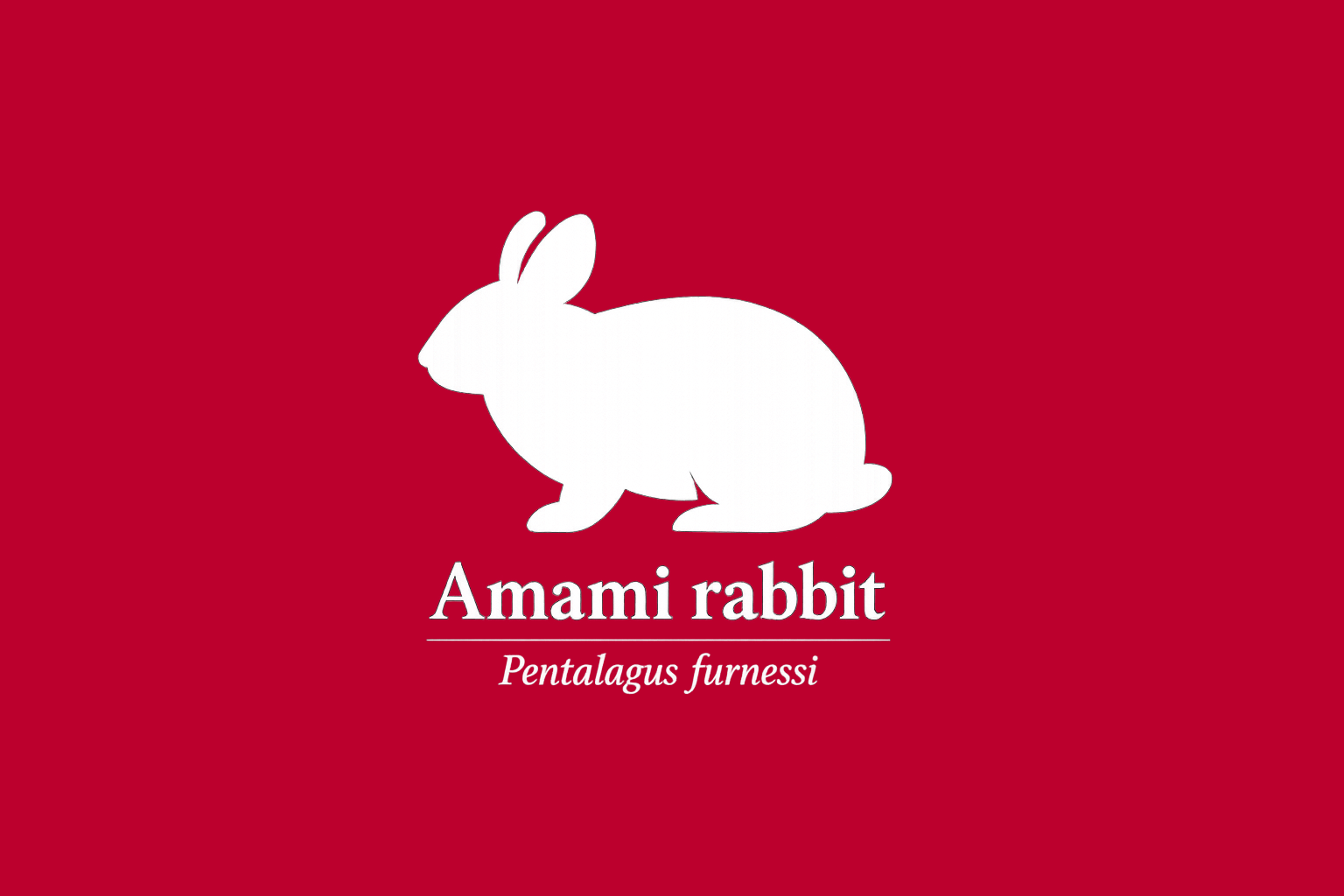 11年後のレッドリスト｜アマミノクロウサギ：守られて、傷ついていく森【IUCNレッドリスト比較】