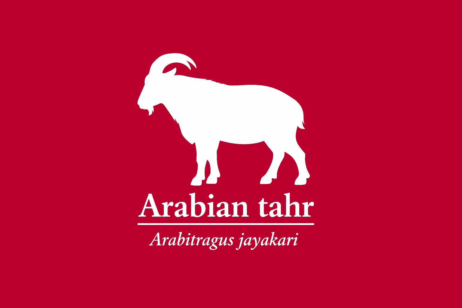 11年後のレッドリスト｜アラビアタール：崖の上で、生き延びるしかない【IUCNレッドリスト比較】