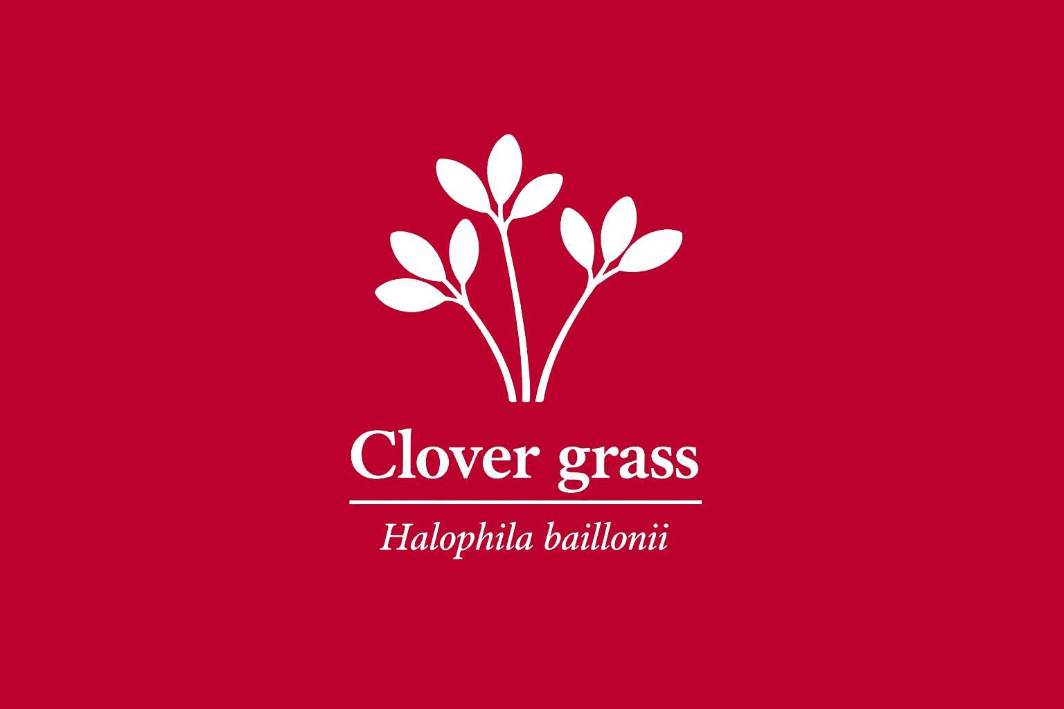 11年後のレッドリスト｜イソベクローバ：危ういまま、航路に乗せられる【IUCNレッドリスト比較】