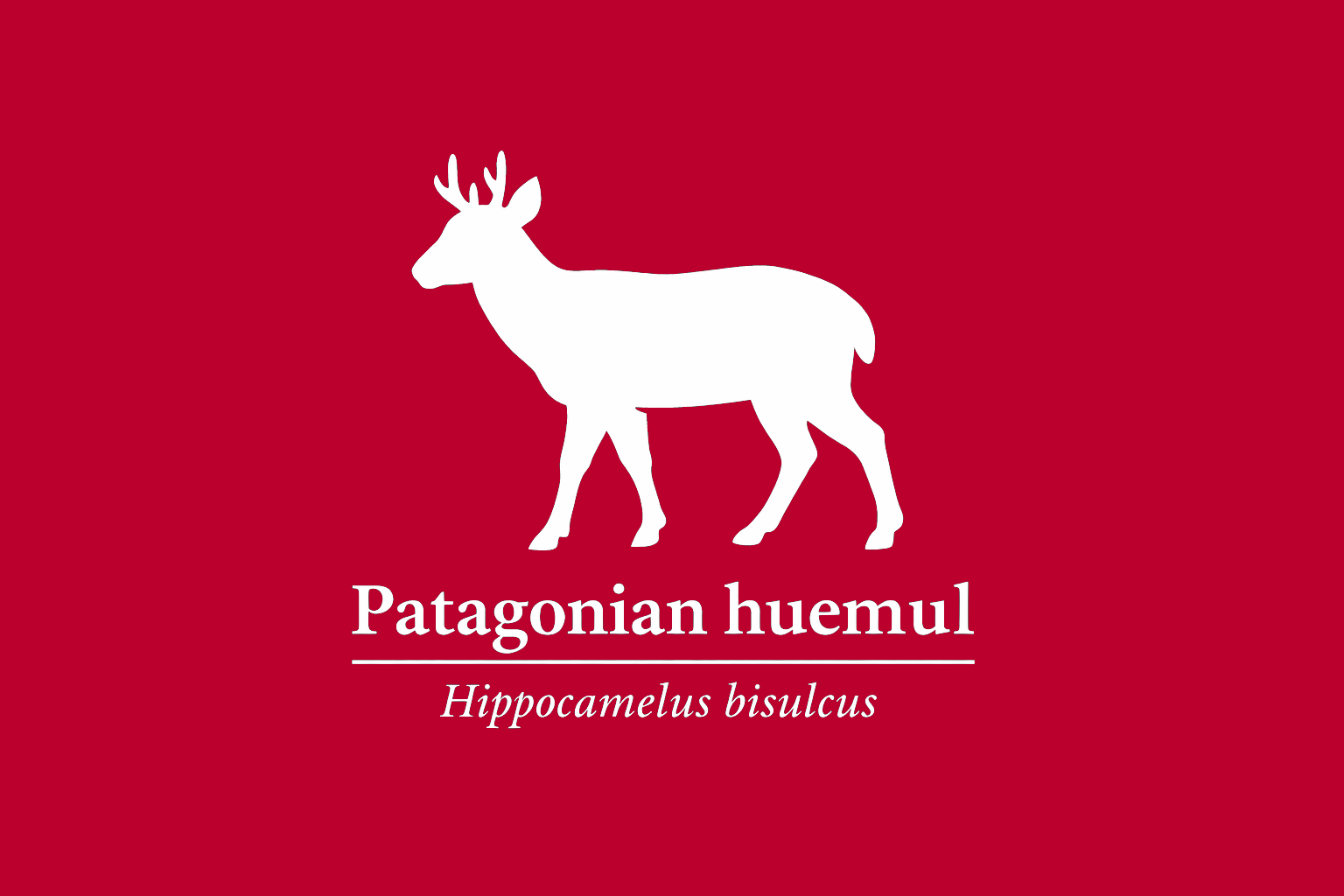 11年後のレッドリスト｜アンデスジカ：散らばる命、つながれない森【IUCNレッドリスト比較】