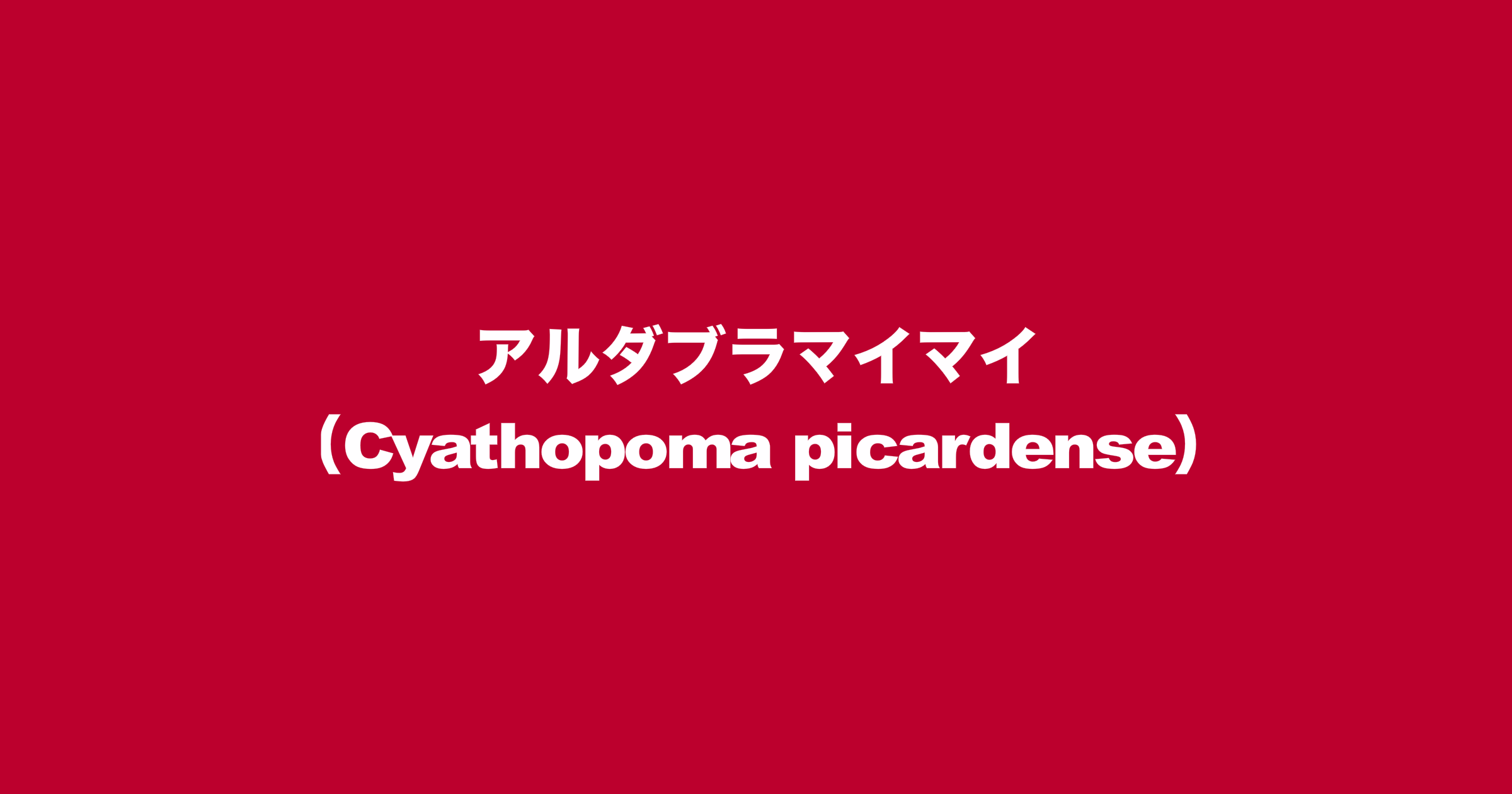 アルダブラマイマイ（学名：Cyathopoma picardense）