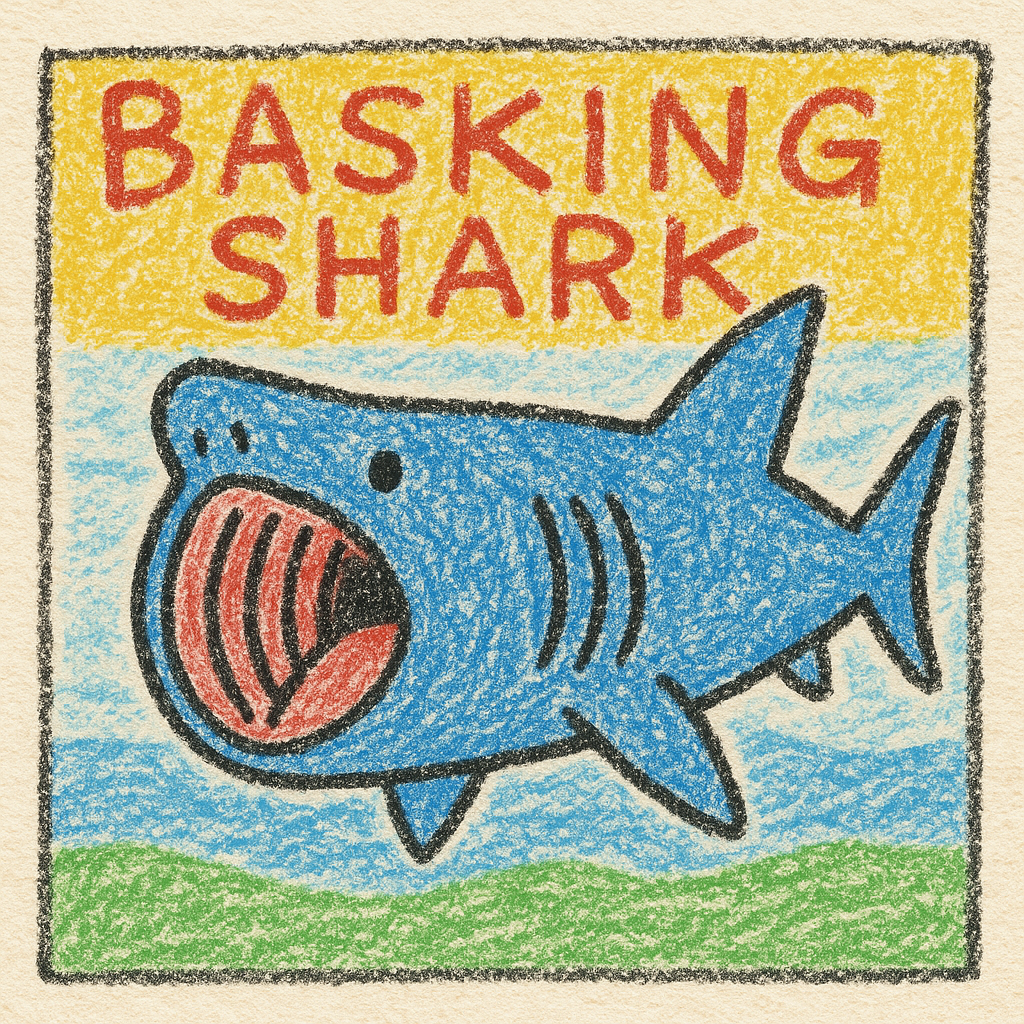 基本情報｜ウバザメ（Basking Shark）