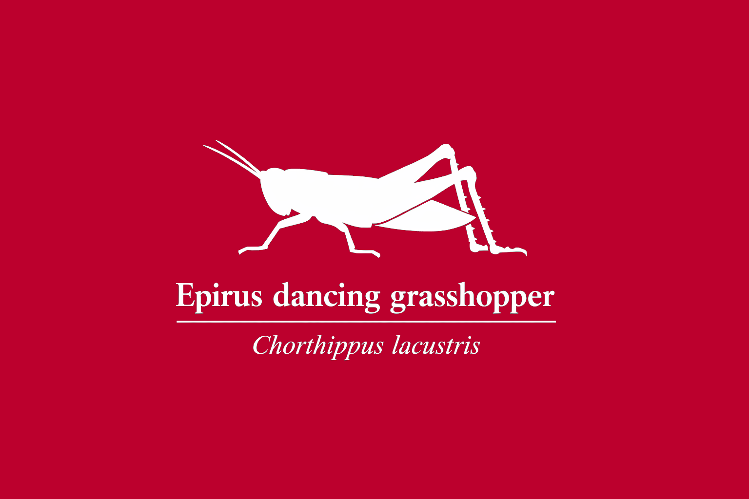 11年後のレッドリスト｜イピロスヒナバッタ：切られたリンゴで、数だけ増えた【IUCNレッドリスト比較】