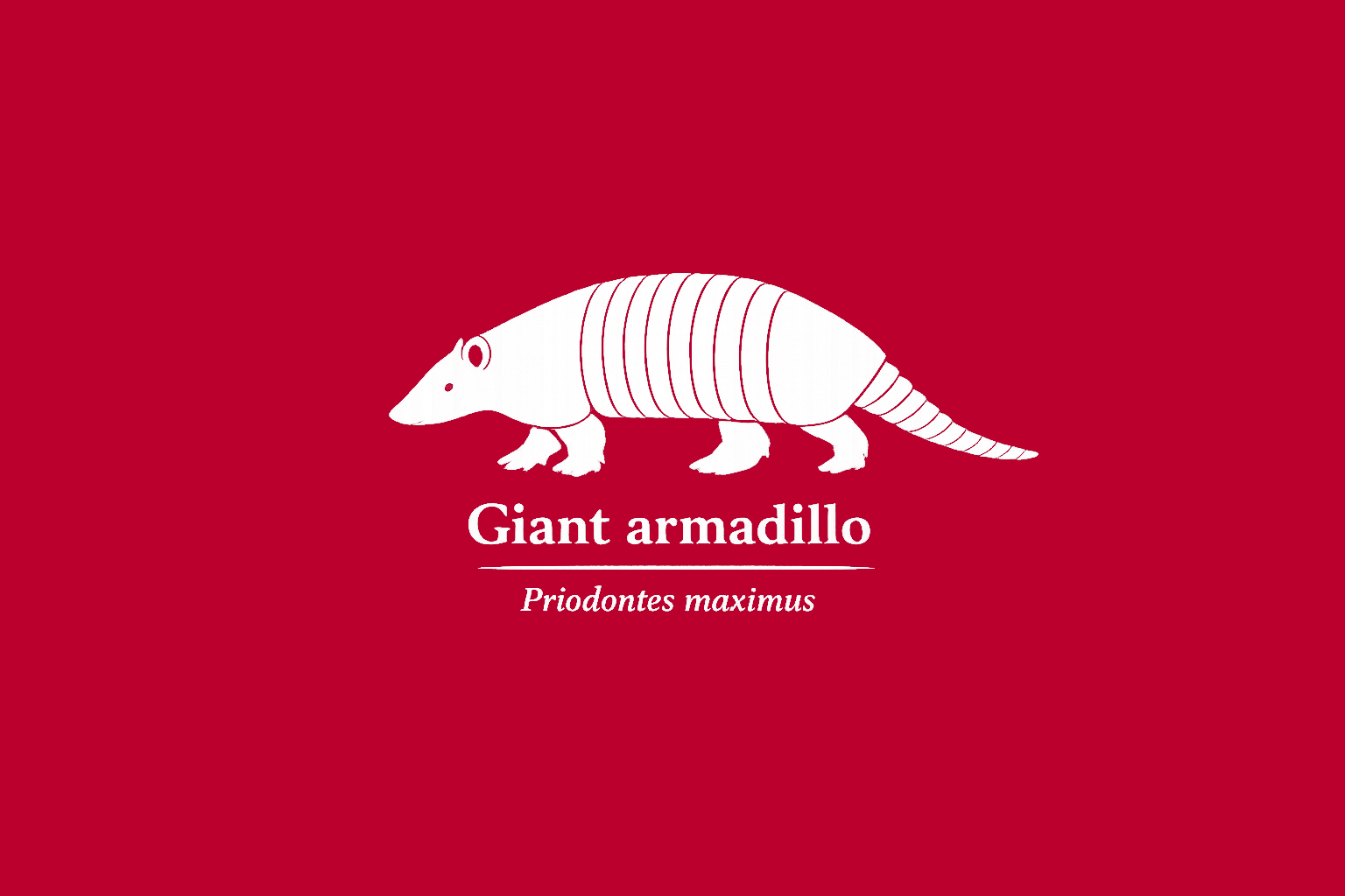 11年後のレッドリスト｜オオアルマジロ：生かされず、売られていく【IUCNレッドリスト比較】