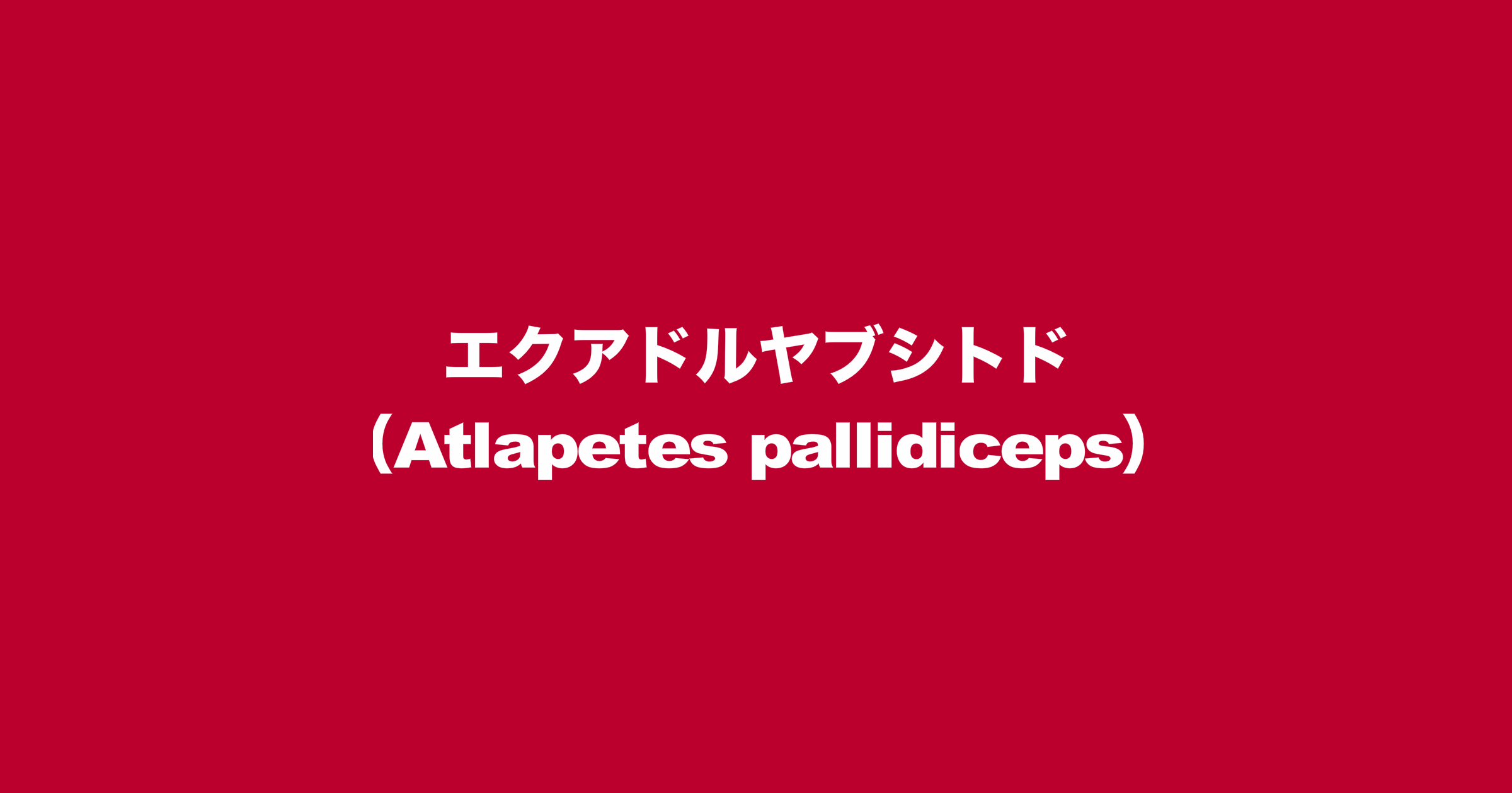 エクアドルヤブシトド（学名：Atlapetes pallidiceps）
