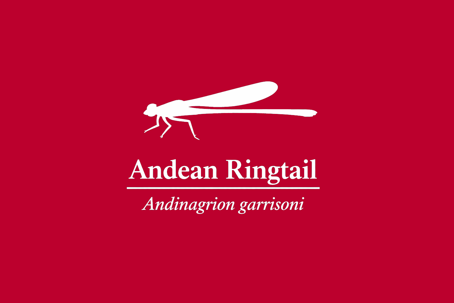 11年後のレッドリスト｜ガリソンアンデスイトトンボ：森は削られ、情報は消える【IUCNレッドリスト比較】