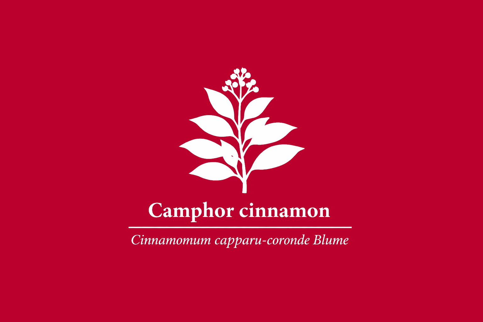 11年後のレッドリスト｜カッパリニッケイ：薬と噂が、刃になる【IUCNレッドリスト比較】