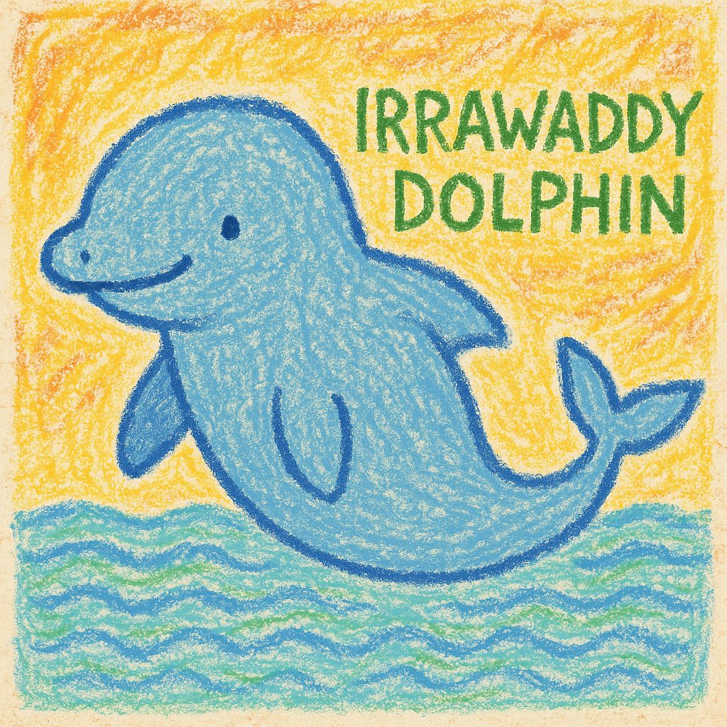 基本情報｜カワゴンドウ（Irrawaddy Dolphin）