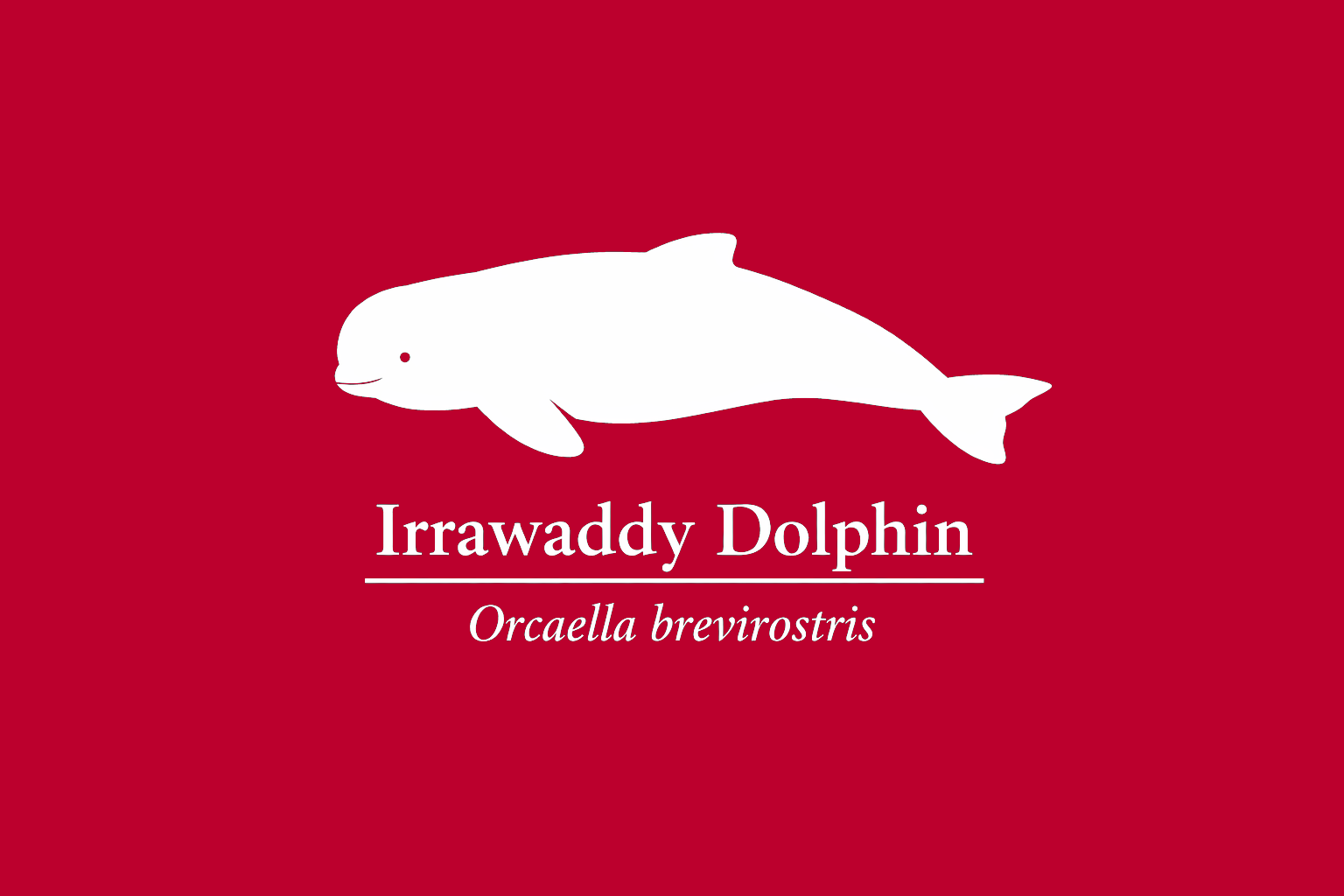 11年後のレッドリスト｜カワゴンドウ：電気は流れ、川は沈む【IUCNレッドリスト比較】