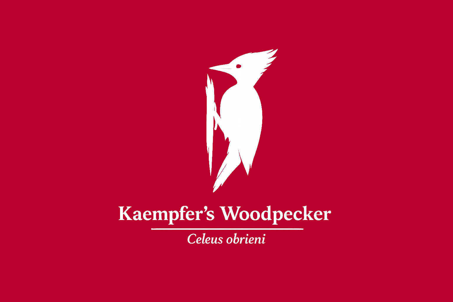 11年後のレッドリスト｜オブライエンテンニョゲラ：見つかった森が、消えていく【IUCNレッドリスト比較】