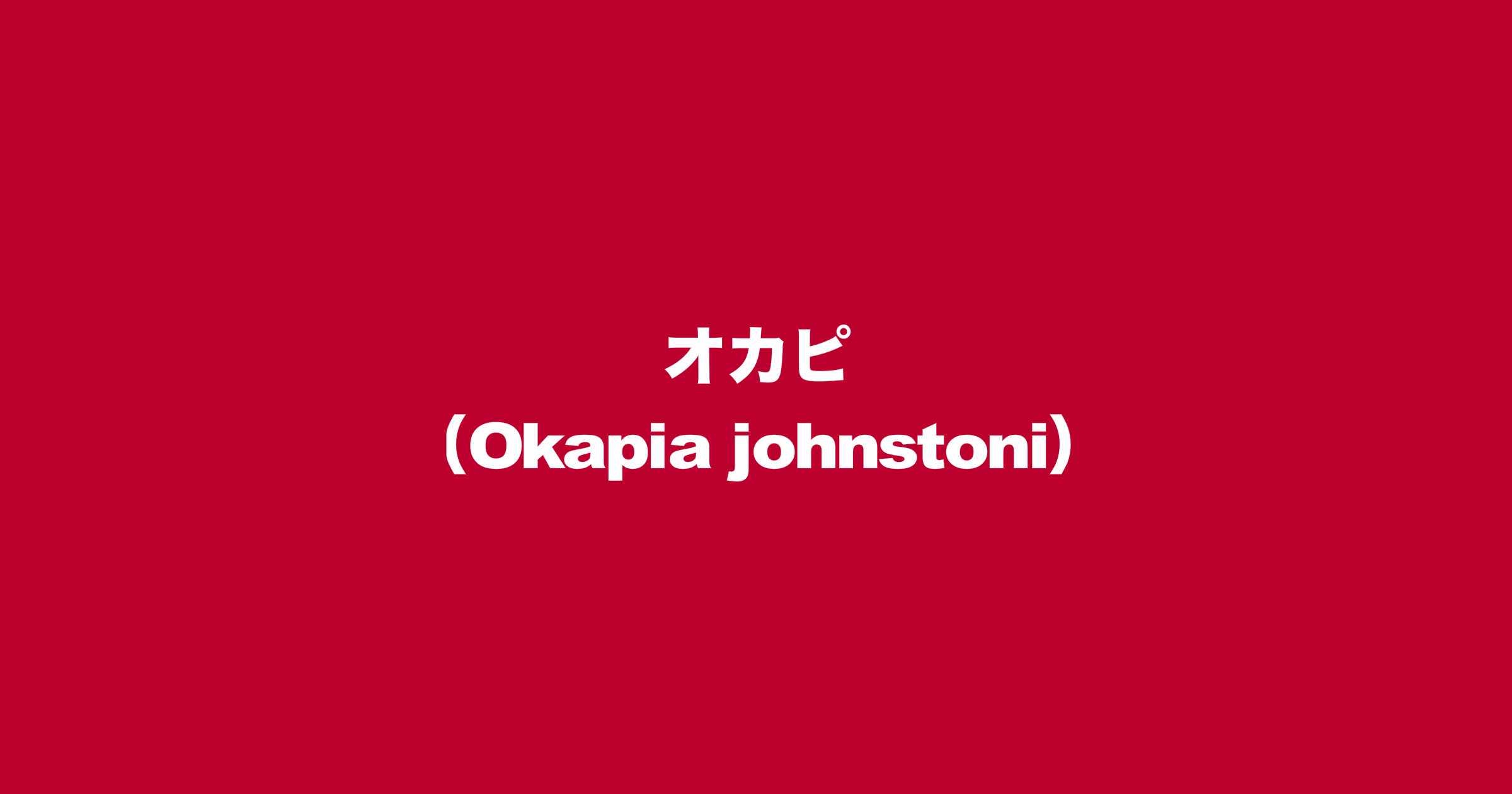 オカピ（Okapia johnstoni）