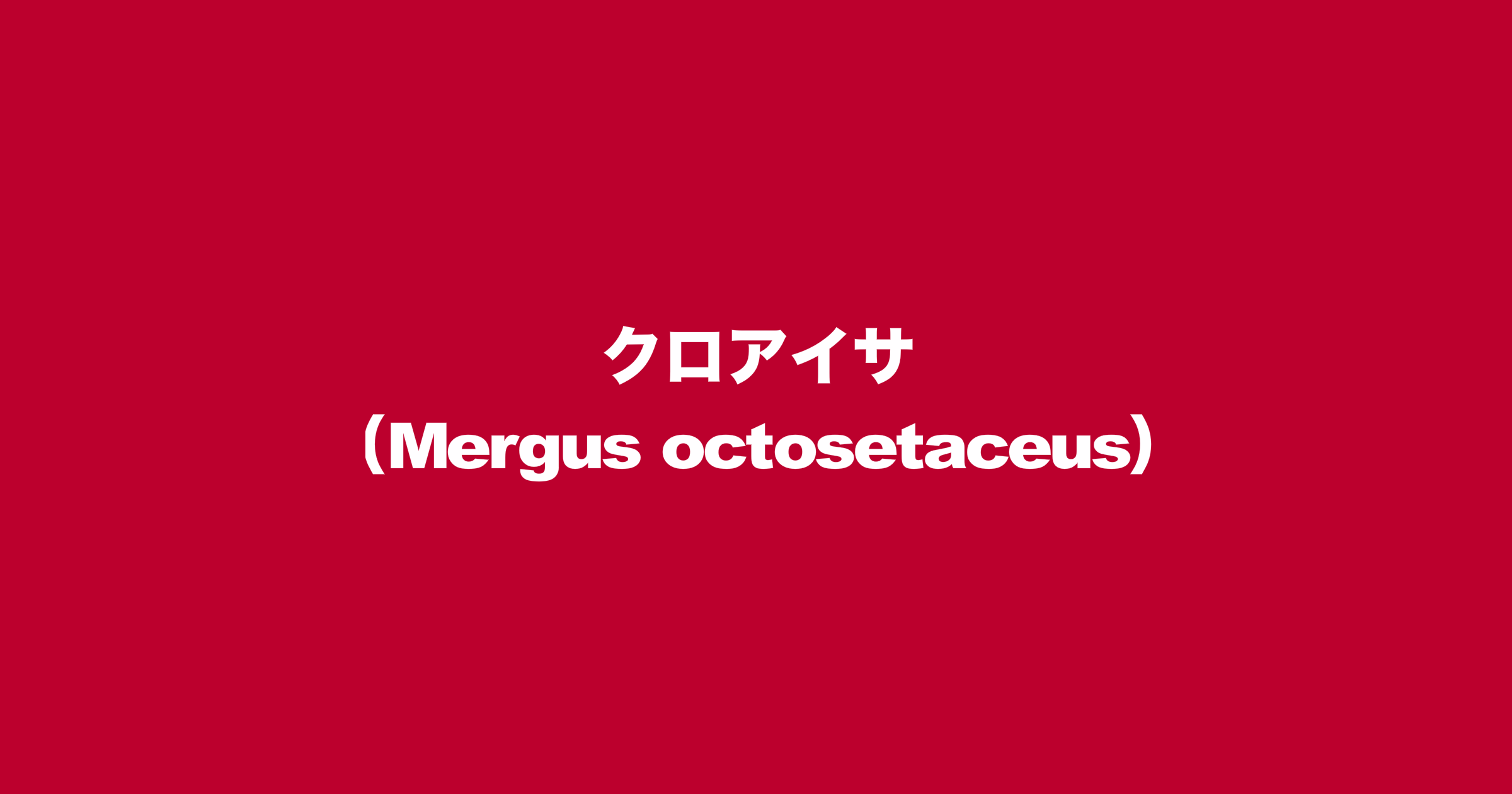 クロアイサ（Mergus octosetaceus）