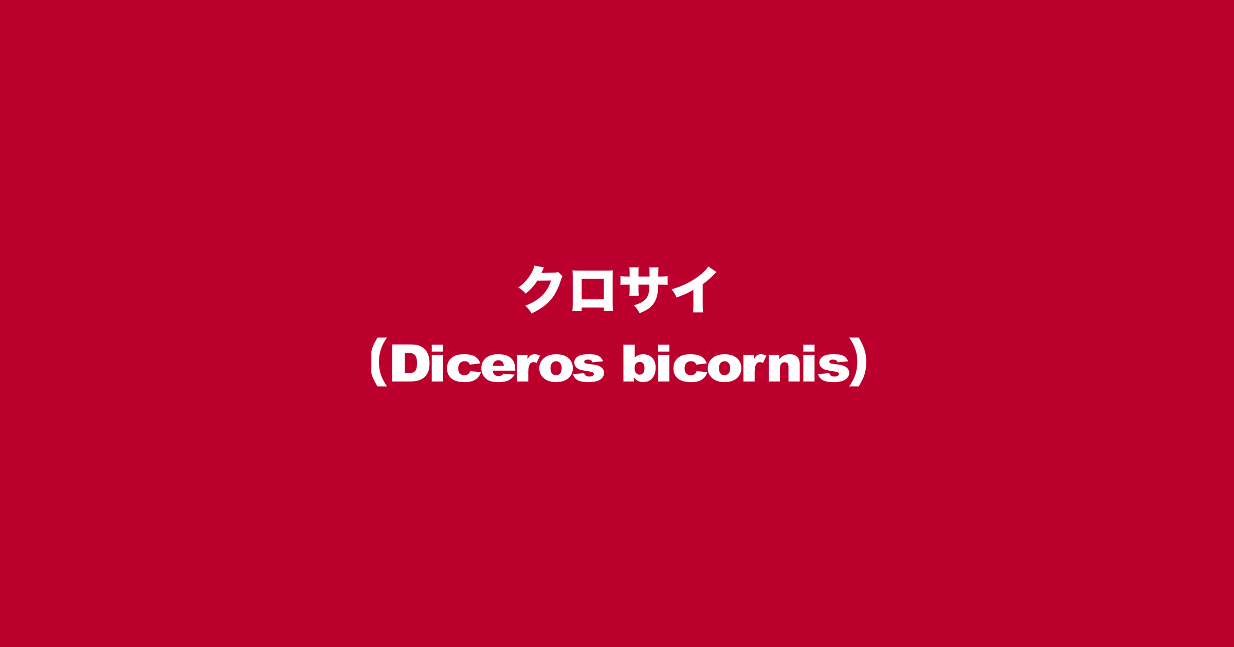 クロサイ（Diceros bicornis）