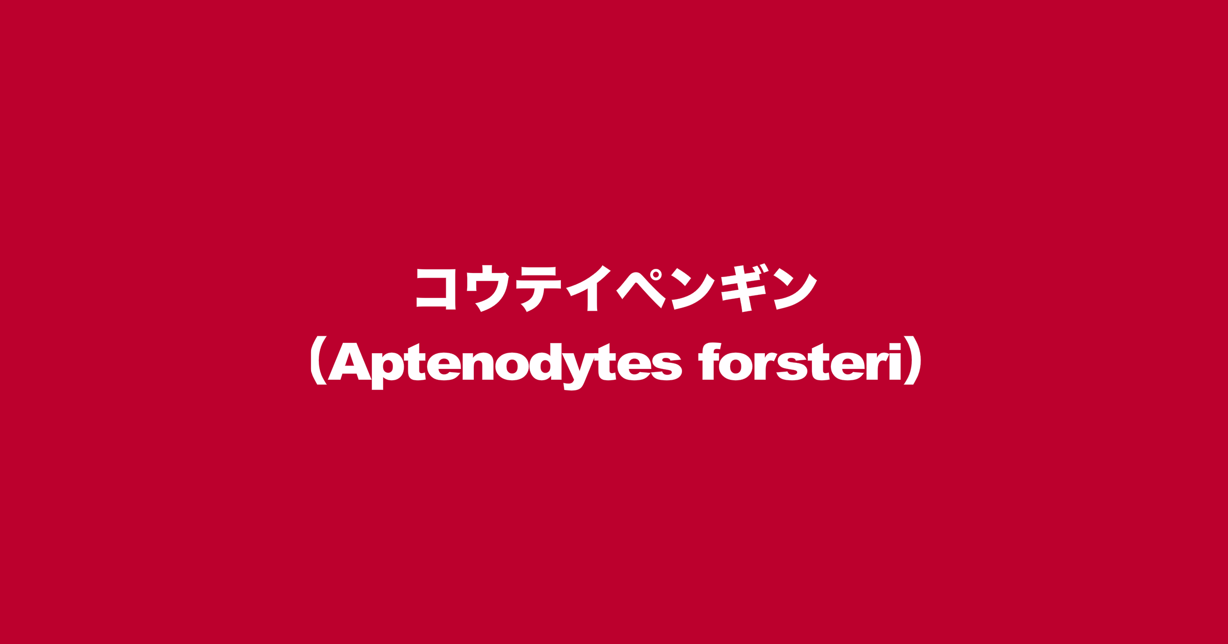 コウテイペンギン（Aptenodytes forsteri）