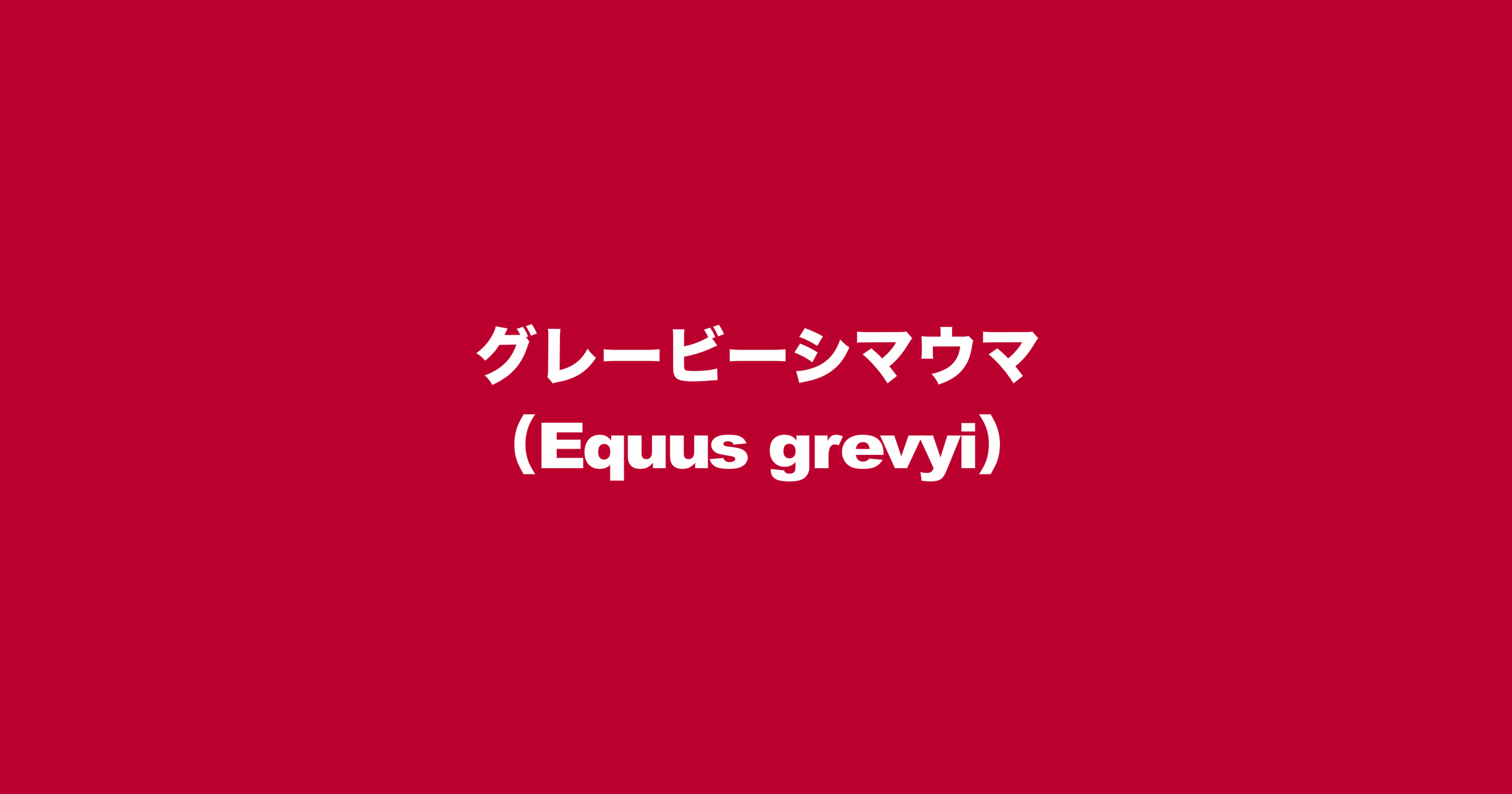 グレービーシマウマ（Equus grevyi）