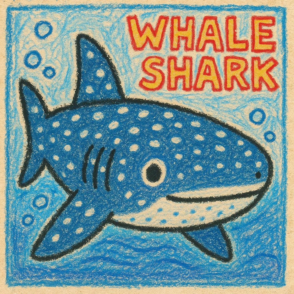 基本情報|ジンベエザメ(Whale Shark)