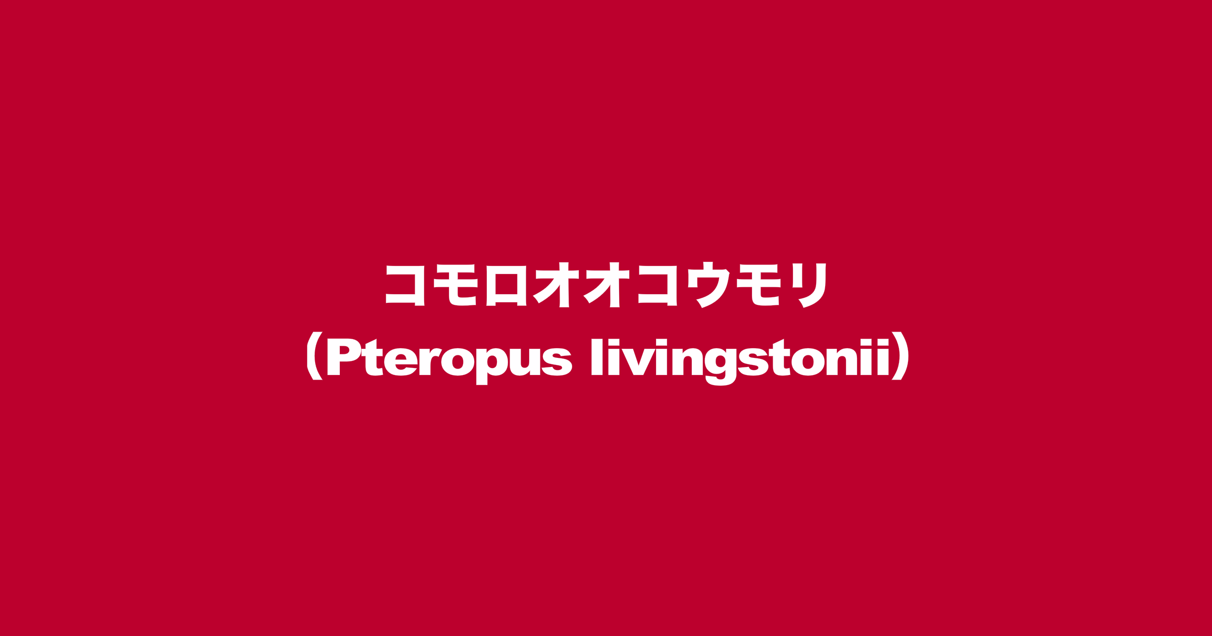 コモロオオコウモリ（Pteropus livingstonii）