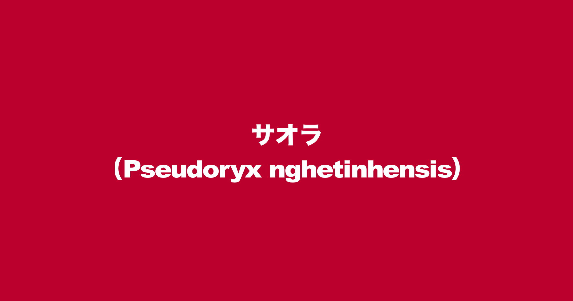 サオラ（Pseudoryx nghetinhensis）