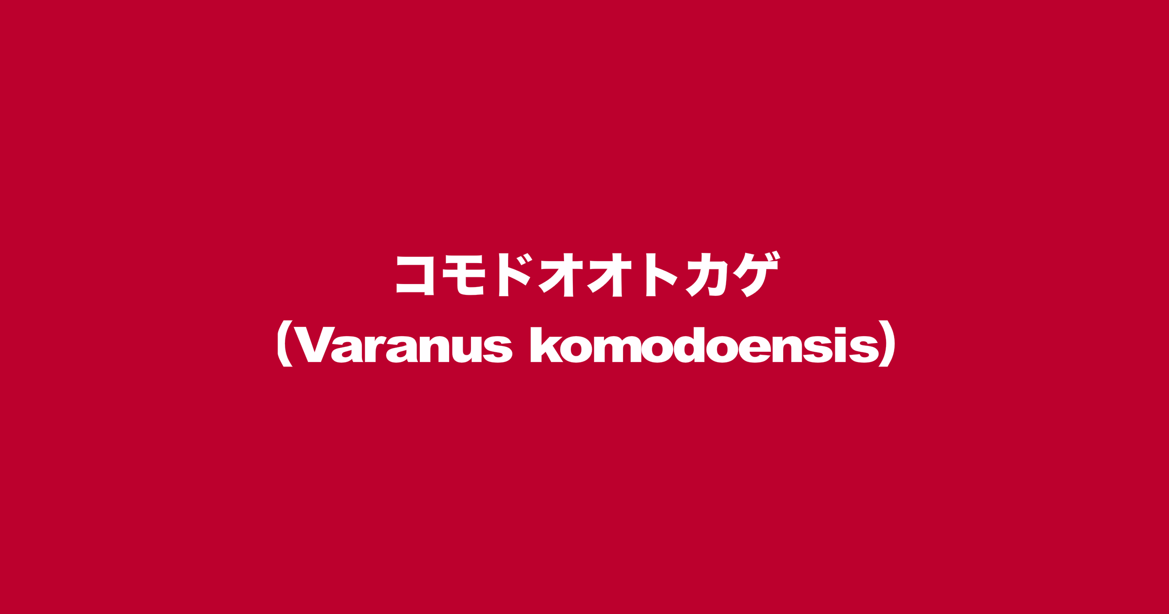 コモドオオトカゲ（Varanus komodoensis）