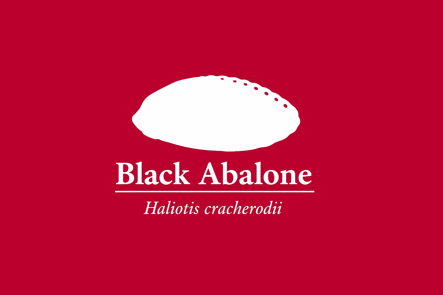 11年後のレッドリスト｜スルスミアワビ：波の記憶だけが、まだそこに残っていた【IUCNレッドリスト比較】