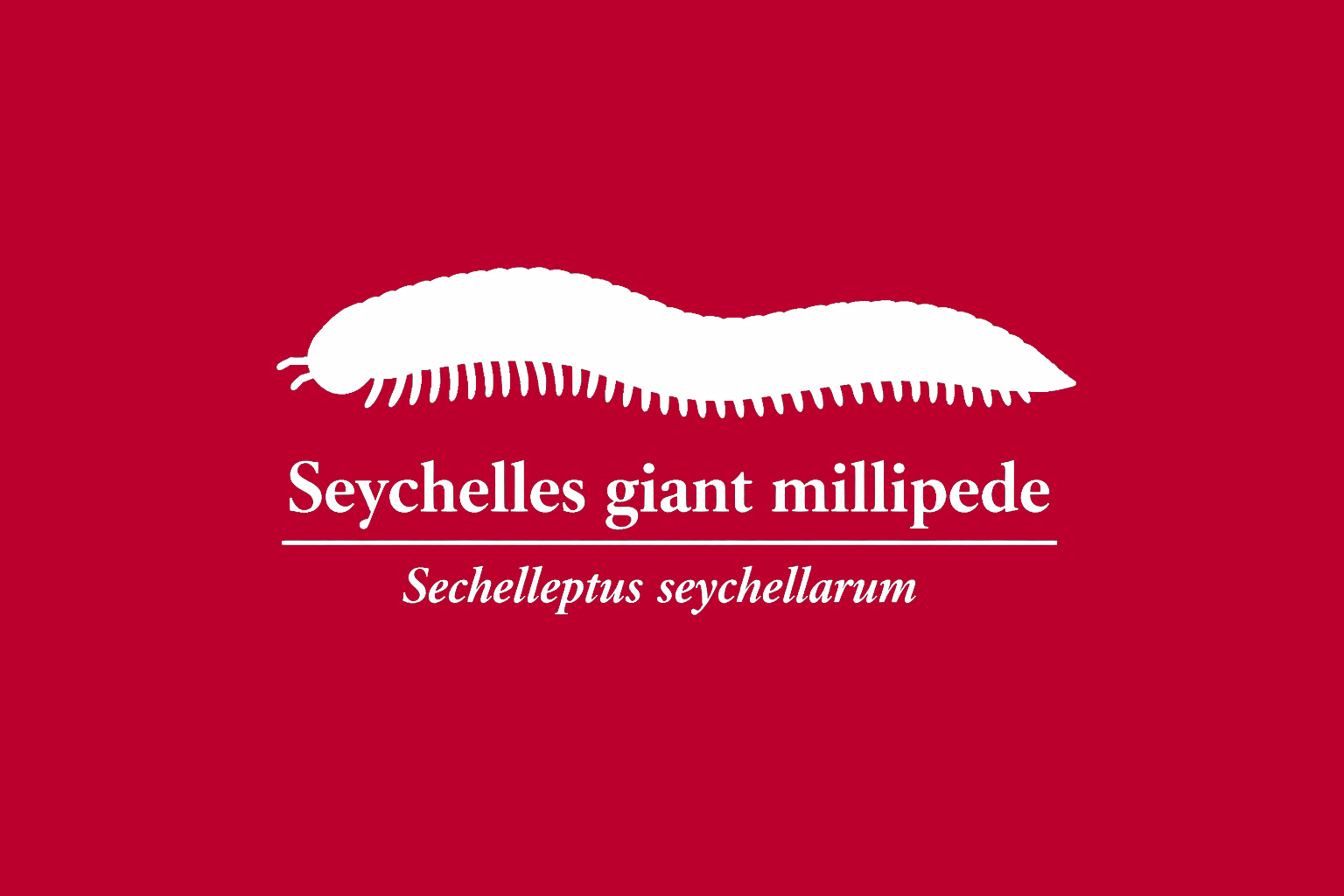 11年後のレッドリスト｜セイシェルオオヤスデ：地図の片隅で、名だけが呼吸を続けている【IUCNレッドリスト比較】