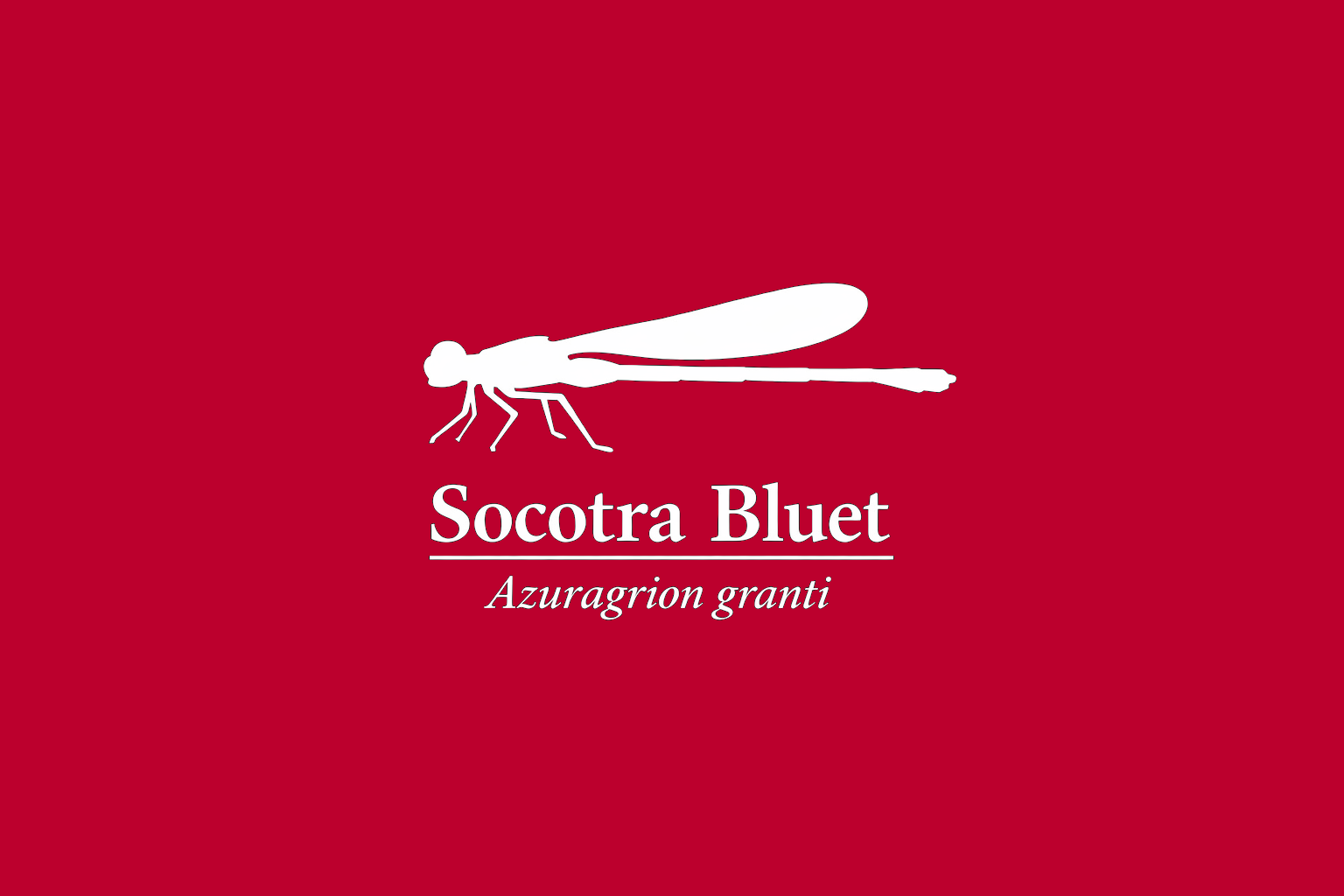 11年後のレッドリスト｜ソコトライトトンボ：かすかな翅音だけが、川の記憶に残されている【IUCNレッドリスト比較】