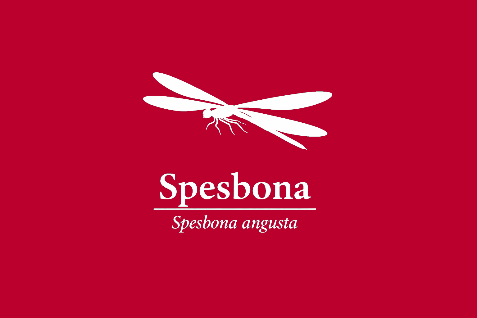 11年後のレッドリスト｜セレスナガレイトトンボ：静かな流れが細り、翅の影だけが川底に残った頃【IUCNレッドリスト比較】