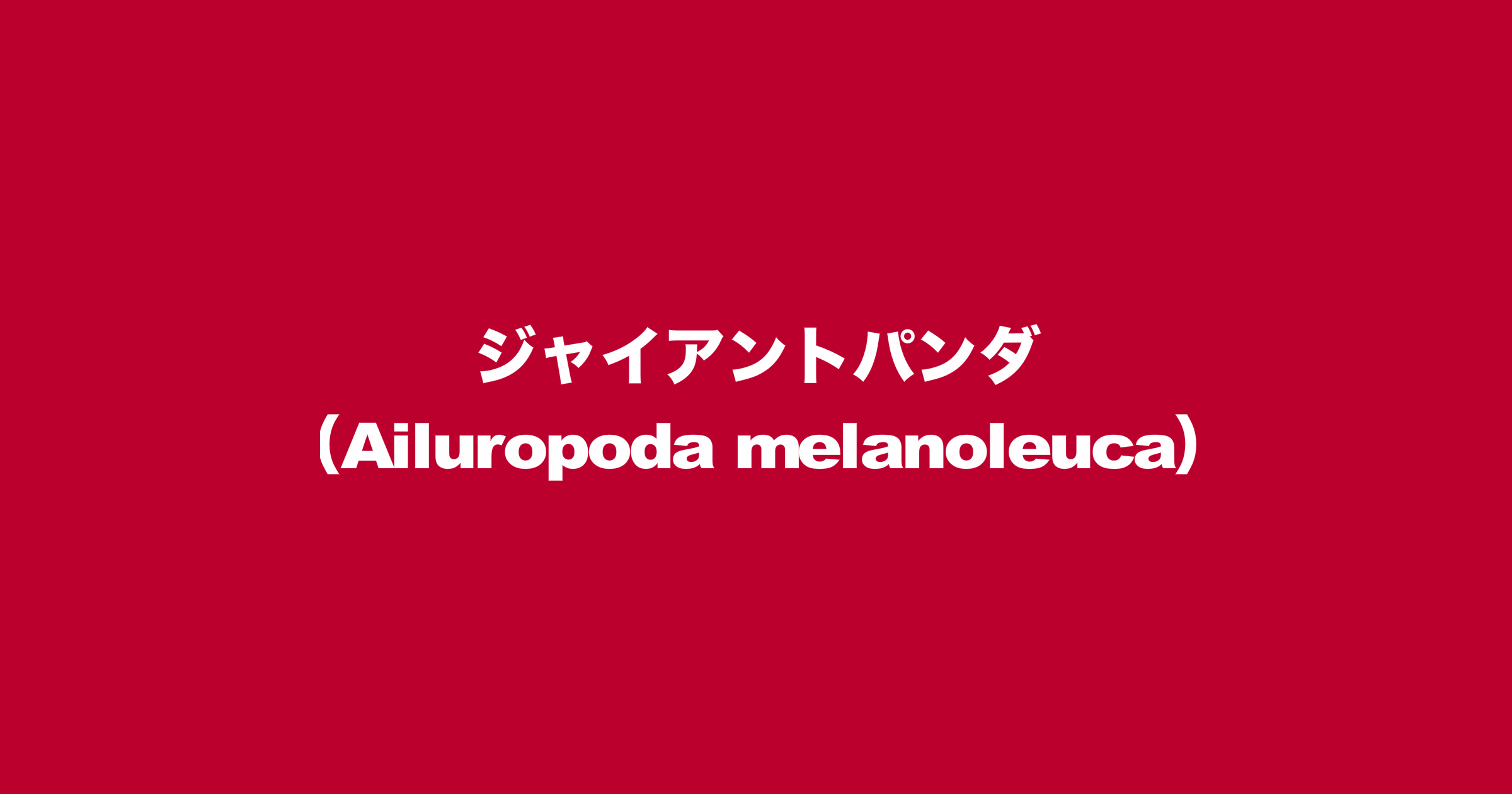 ジャイアントパンダ（Ailuropoda melanoleuca）