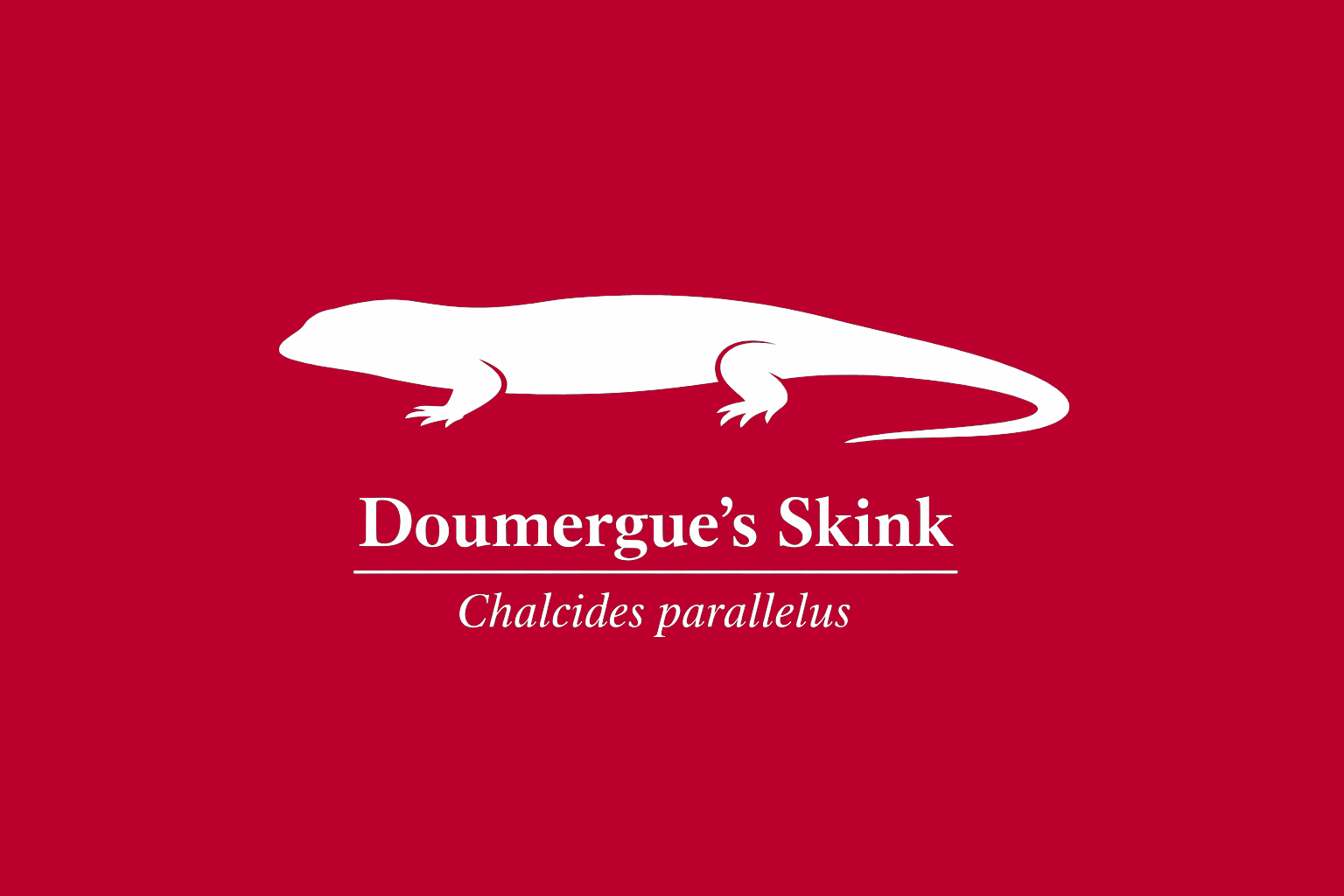 11年後のレッドリスト｜ドゥメルグカラカネトカゲ：忘れられた危機が、静かに息をする【IUCNレッドリスト比較】