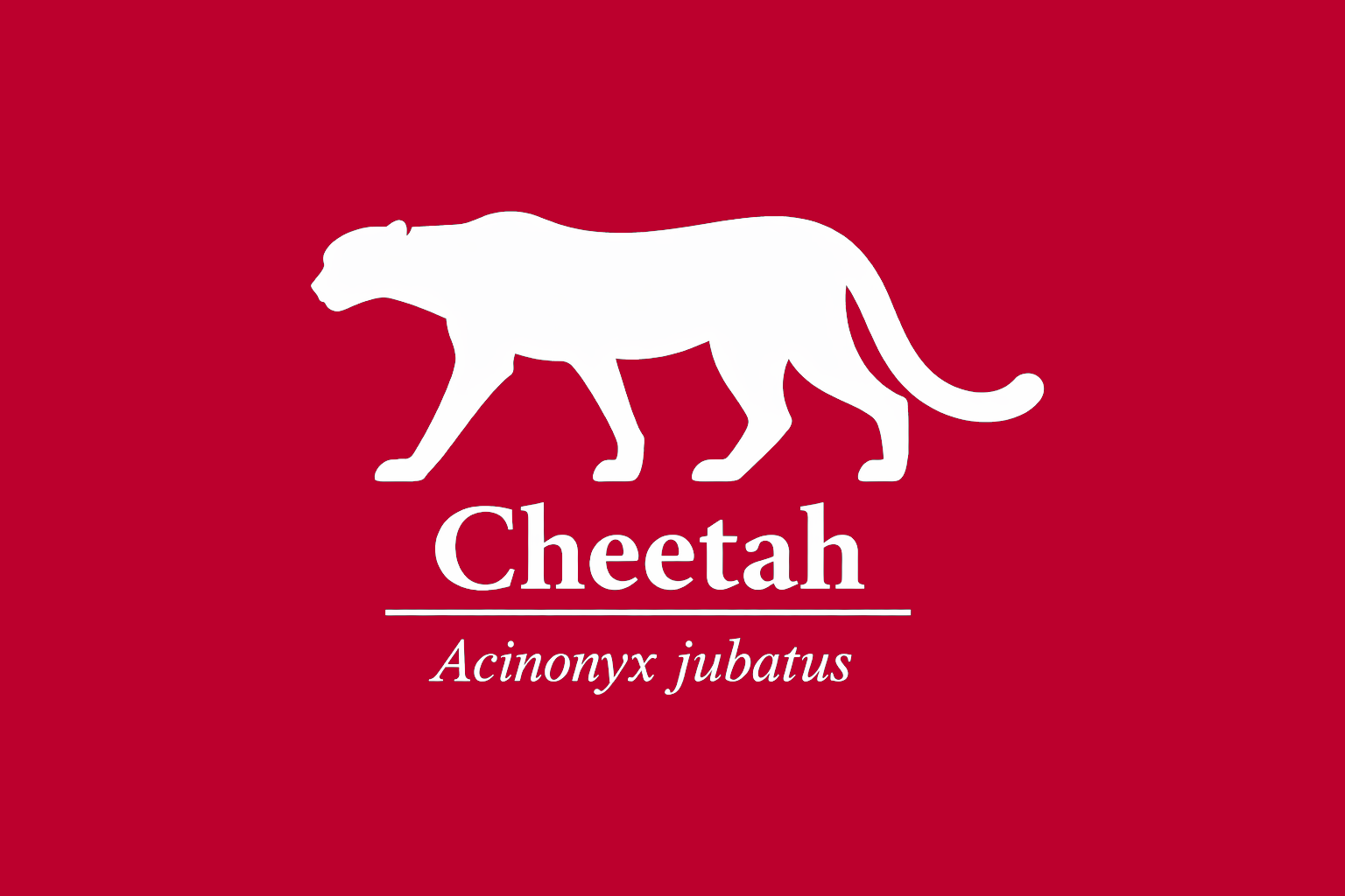 11年後のレッドリスト｜チーター：同じ崖の縁で、ただ息をひそめている【IUCNレッドリスト比較】