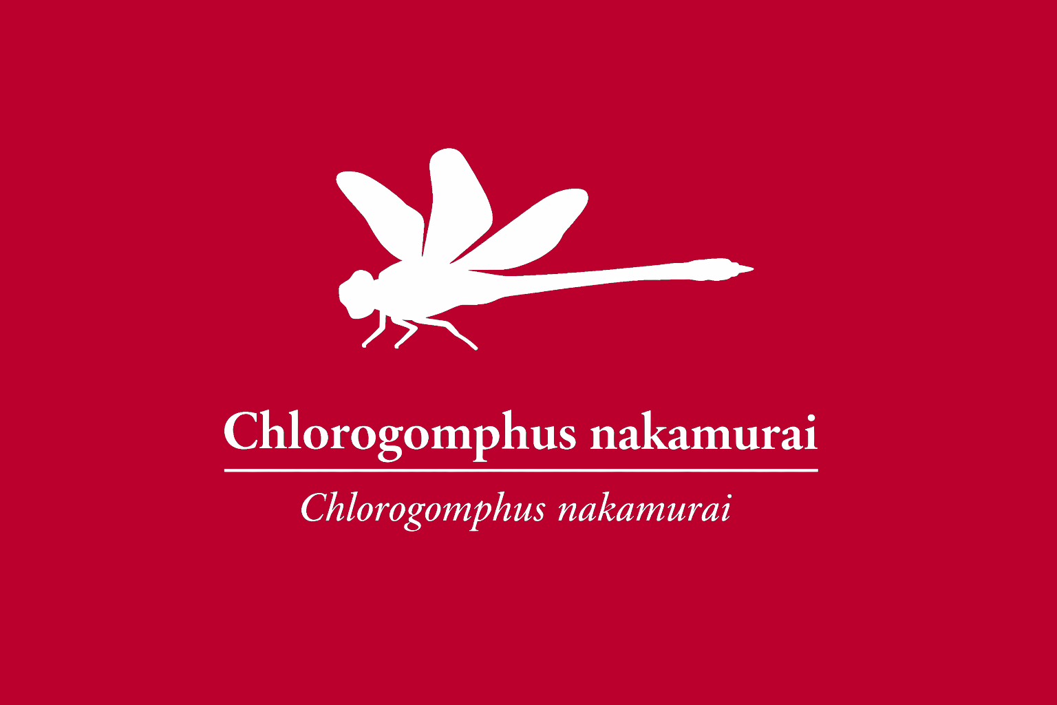 11年後のレッドリスト｜ナカムラミナミヤンマ：救われぬままの危急が、今も揺れている【IUCNレッドリスト比較】