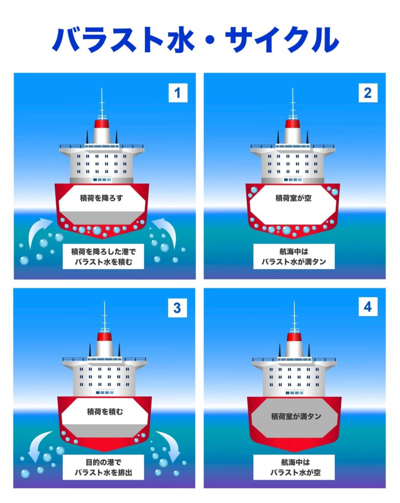 バラスト水・サイクル：説明画像