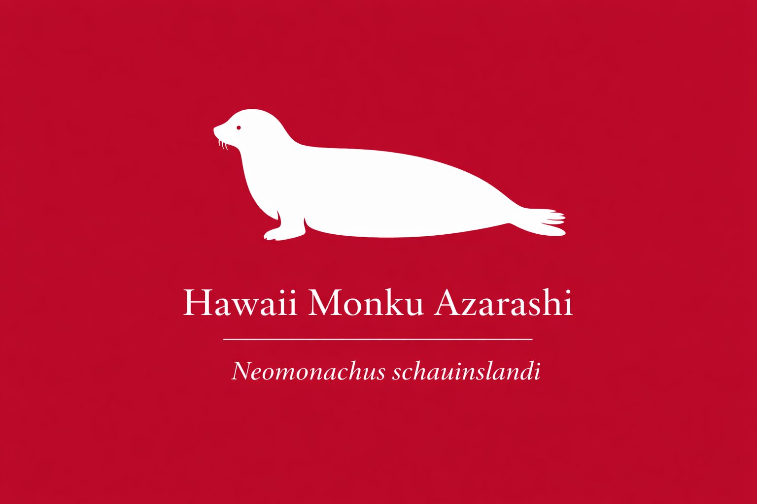 11年後のレッドリスト｜ハワイモンクアザラシ：波間に残る、小さな居場所【IUCNレッドリスト比較】