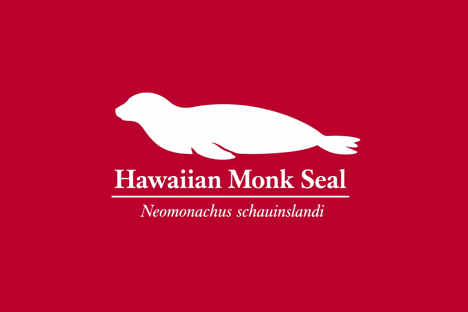 11年後のレッドリスト｜ハワイモンクアザラシ：波間に残る、小さな居場所【IUCNレッドリスト比較】