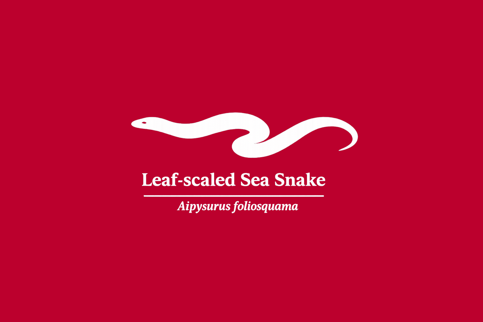 11年後のレッドリスト｜ハウロコミナミウミヘビ：地図の外で、息をしている【IUCNレッドリスト比較】