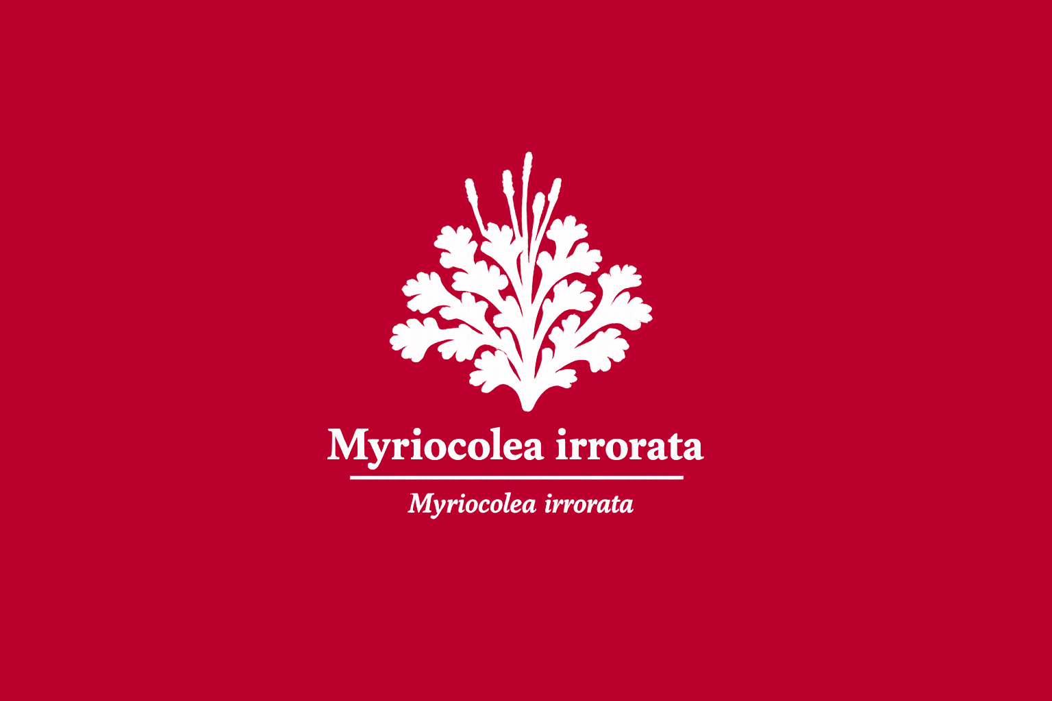 11年後のレッドリスト｜ニセムシトリゴケ：誰も書き足さない赤が、ずっと残る【IUCNレッドリスト比較】