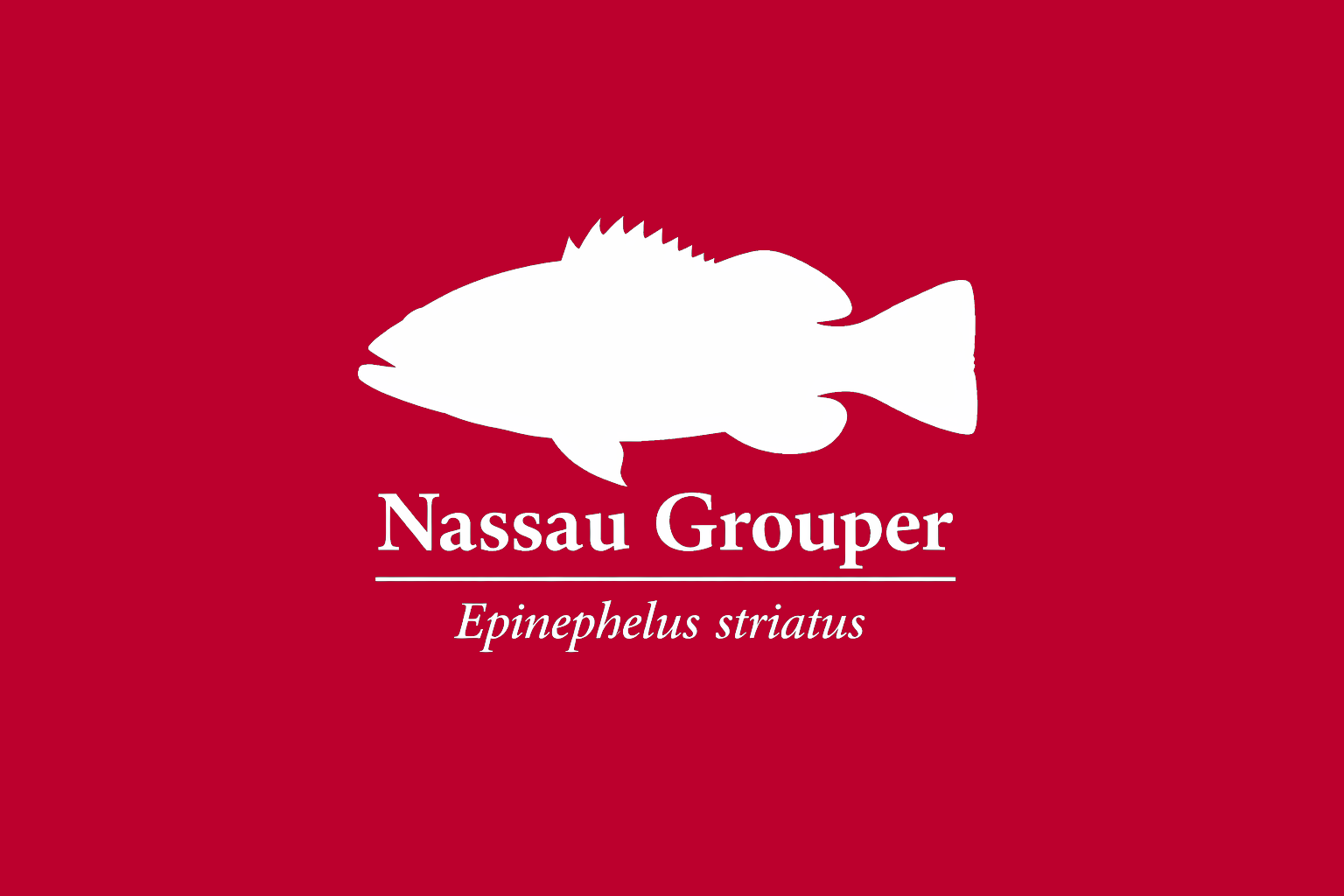 11年後のレッドリスト｜ナッソーハタ：逃げ道のない場所へ、追い込まれた【IUCNレッドリスト比較】