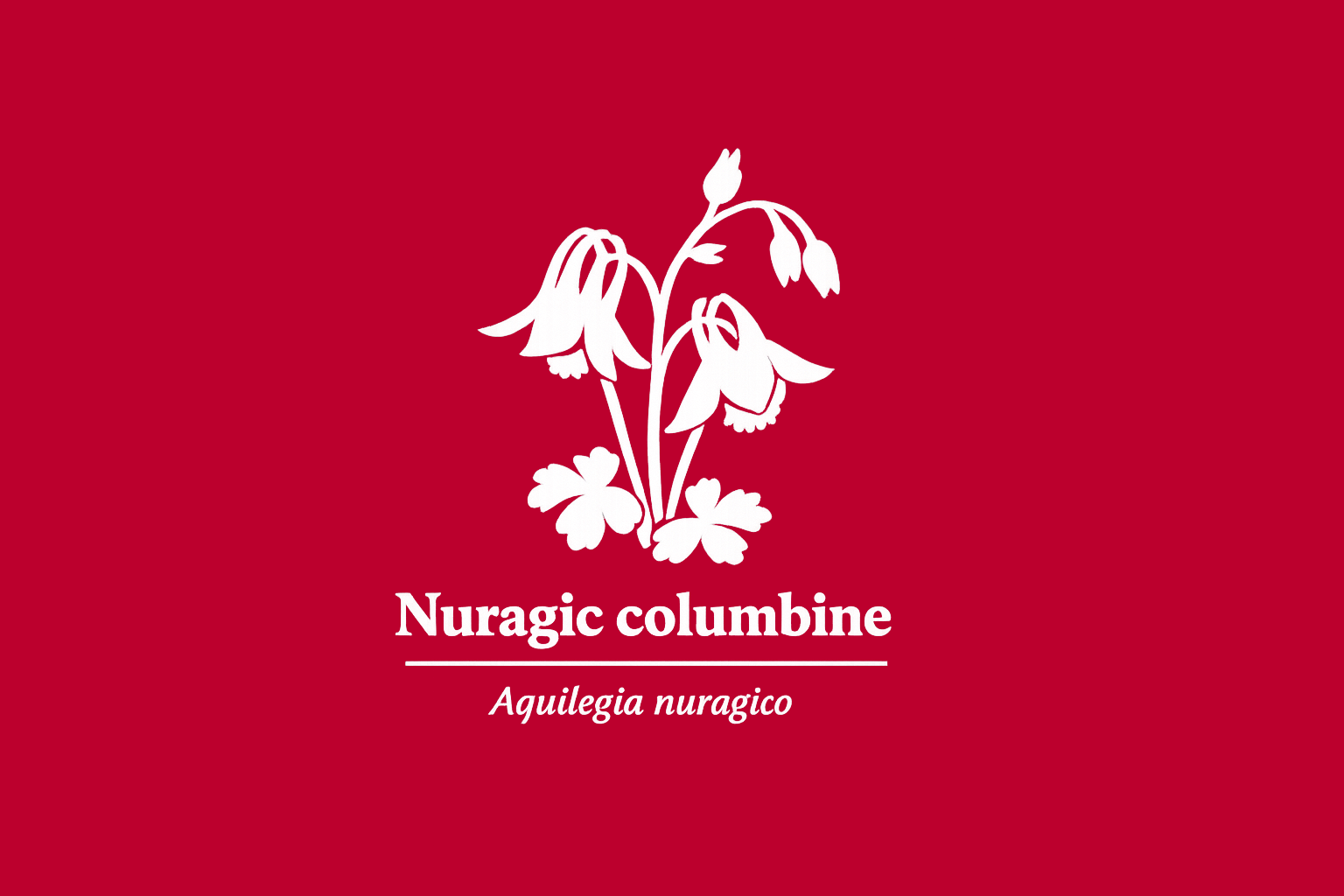 11年後のレッドリスト｜ヌラギカオダマキ：更新されない評価が、沈黙を育てている【IUCNレッドリスト比較】