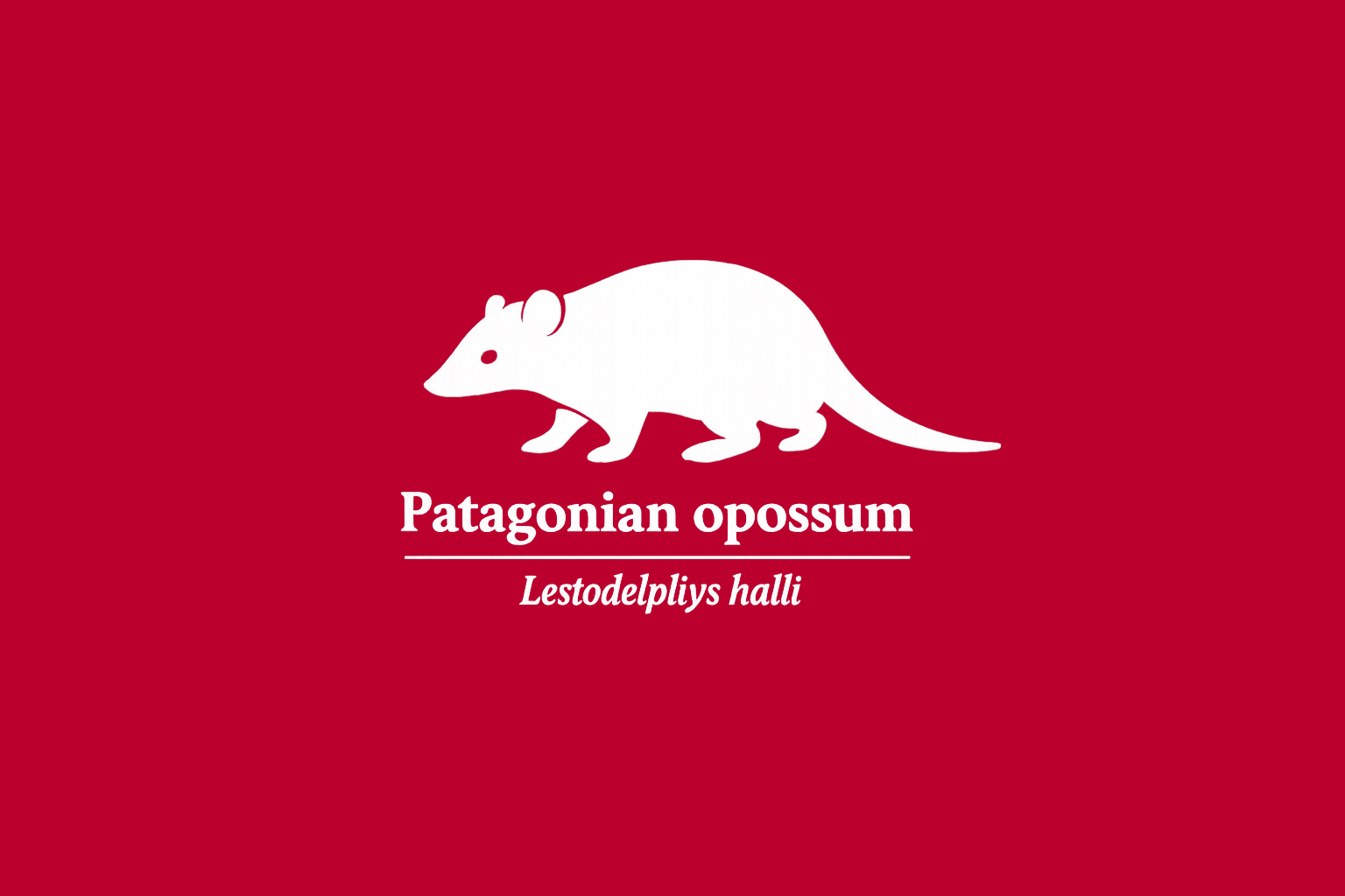 11年後のレッドリスト｜パタゴニアオポッサム：風に削られた、最後の居場所【IUCNレッドリスト比較】