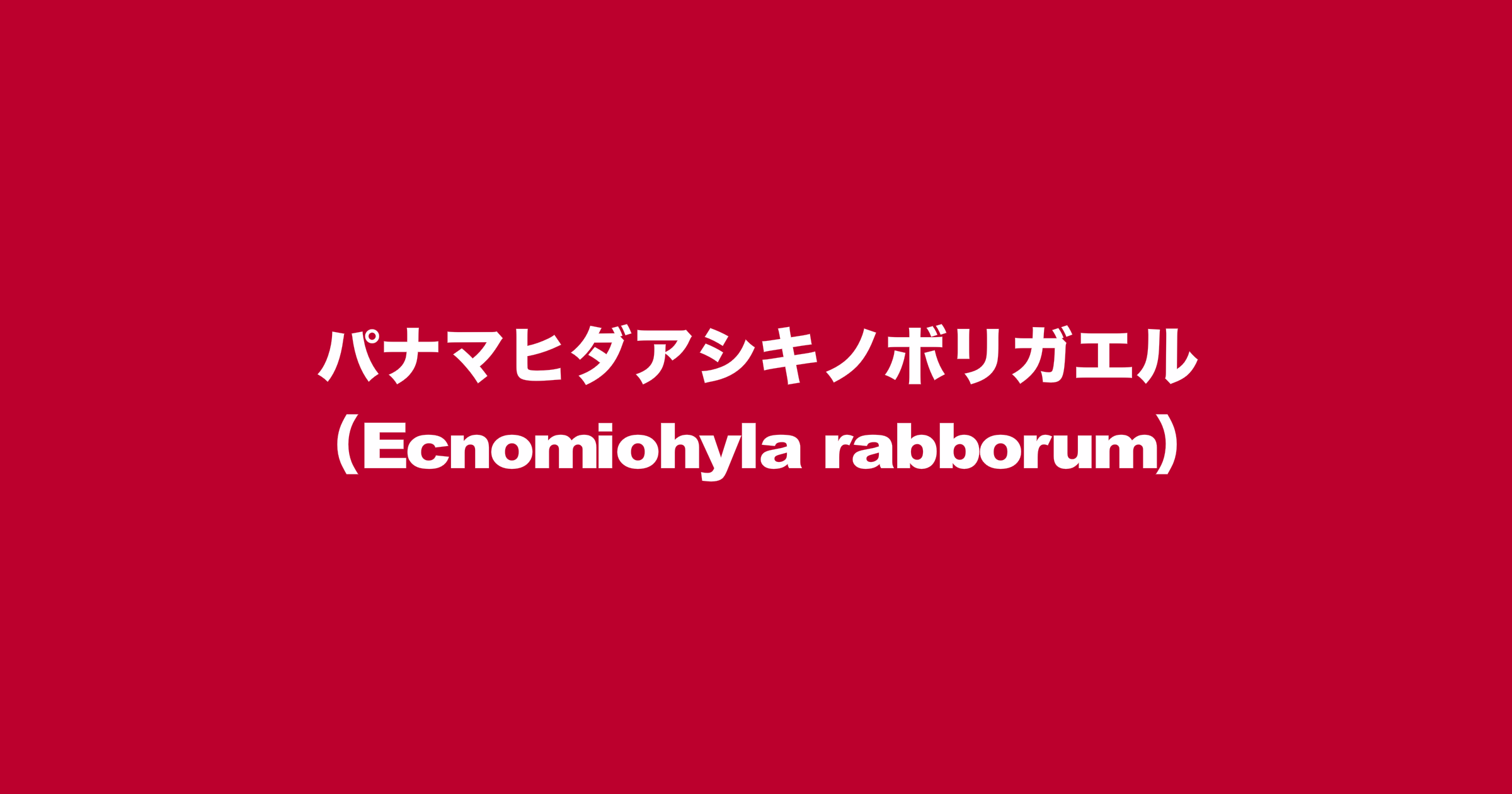 パナマヒダアシキノボリガエル（学名：Ecnomiohyla rabborum）